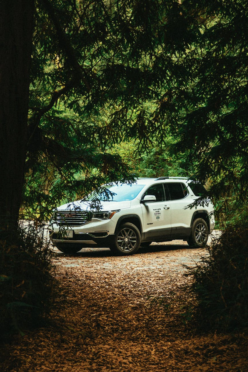 All terrain tire section image.