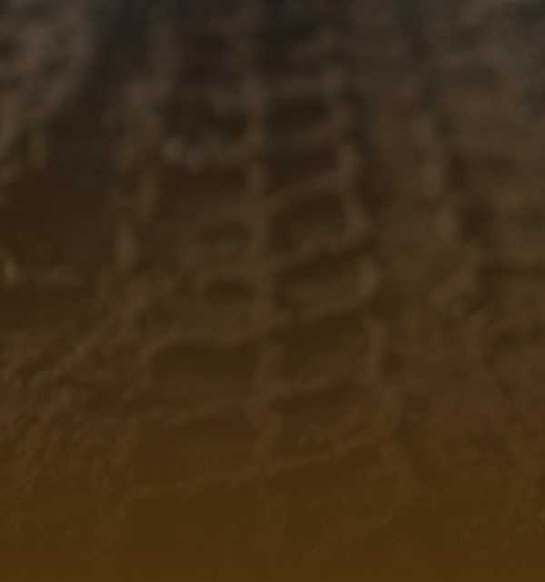 Mud Tires