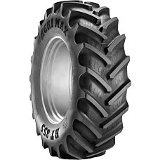 BKT Agrimax RT 855 250/85R24 109A8