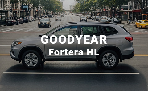 Primex Elite Male Enhancement Reviews