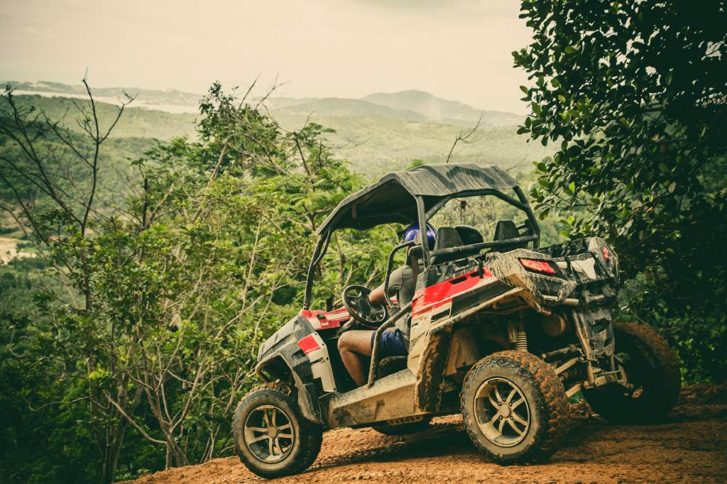 Utility Task Vehicle